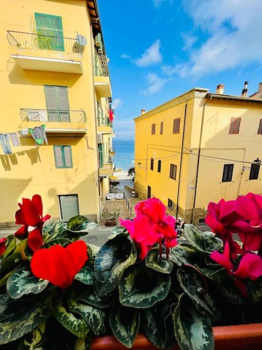 Maddy House - 50 Mt Dal Mare Βίλα Porto Santo Stefano  Εξωτερικό φωτογραφία